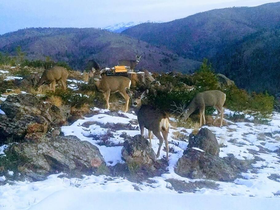 Tabernash Secluded Luxury Mountain Retreat With Unrivaled Viewsヴィラ エクステリア 写真